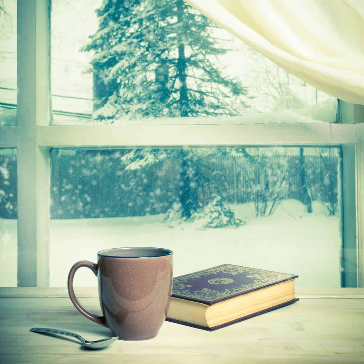 winter book and mug on snowy window ledge.