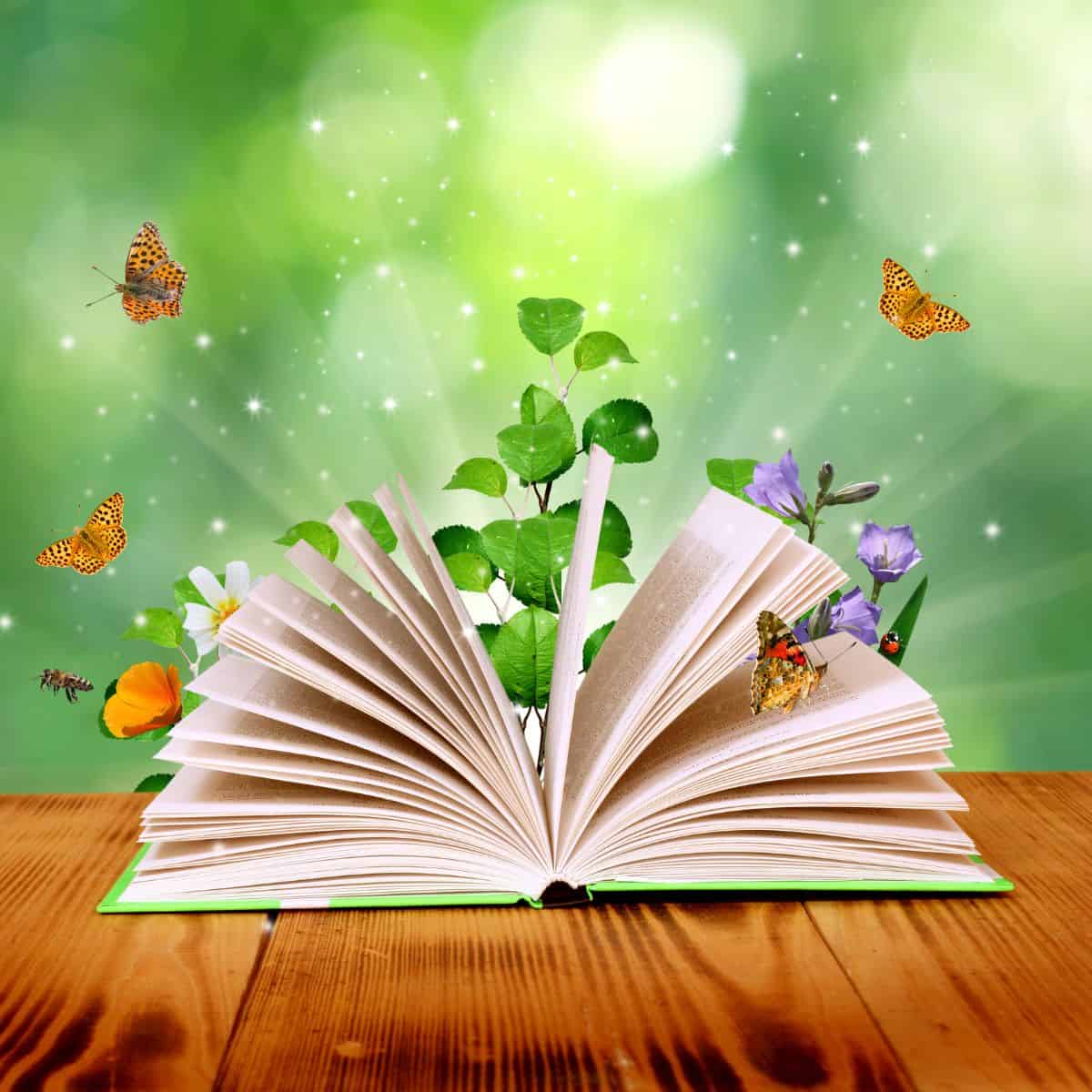 open book with flowers and butterflies coming out of it.