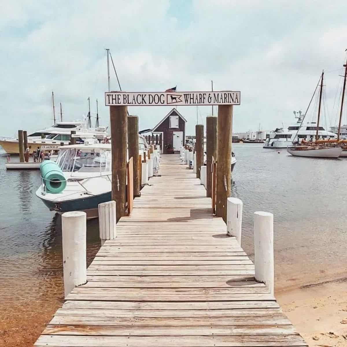 the black dog wharf and marina sign.