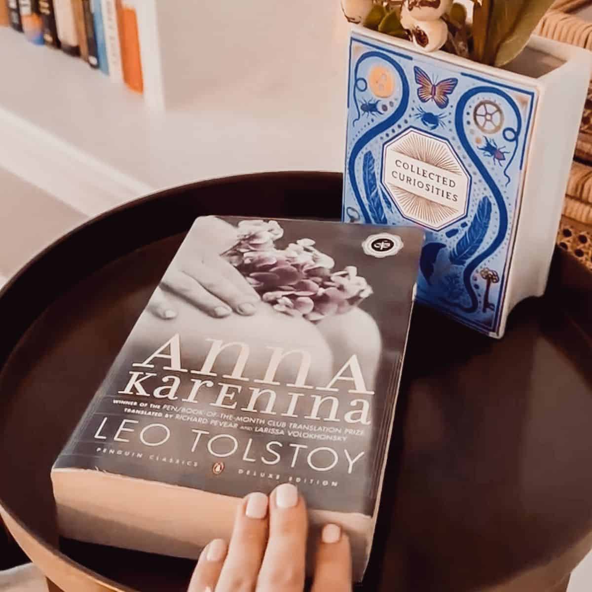 Anna Karenina Book Review (With Reading Tips)