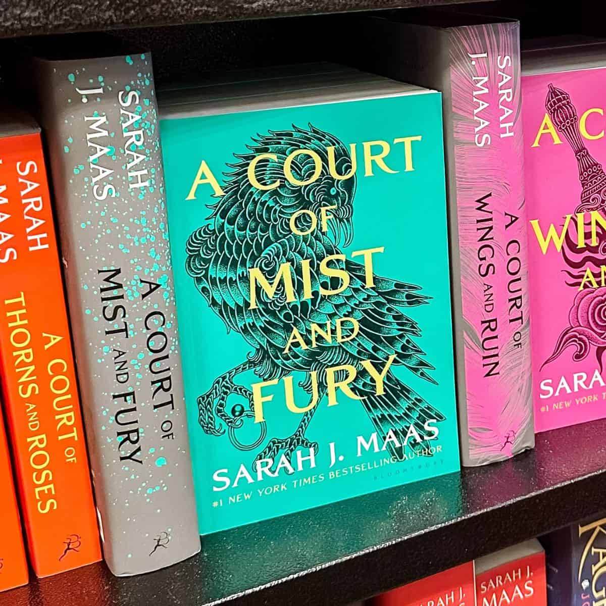 a court of mist and fury by sarah j. maas.