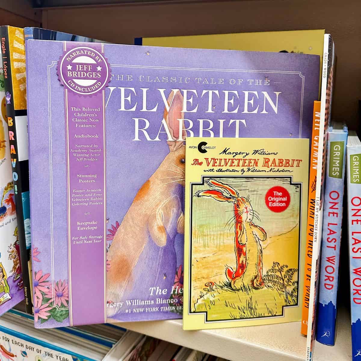 the velveteen rabbilt books.