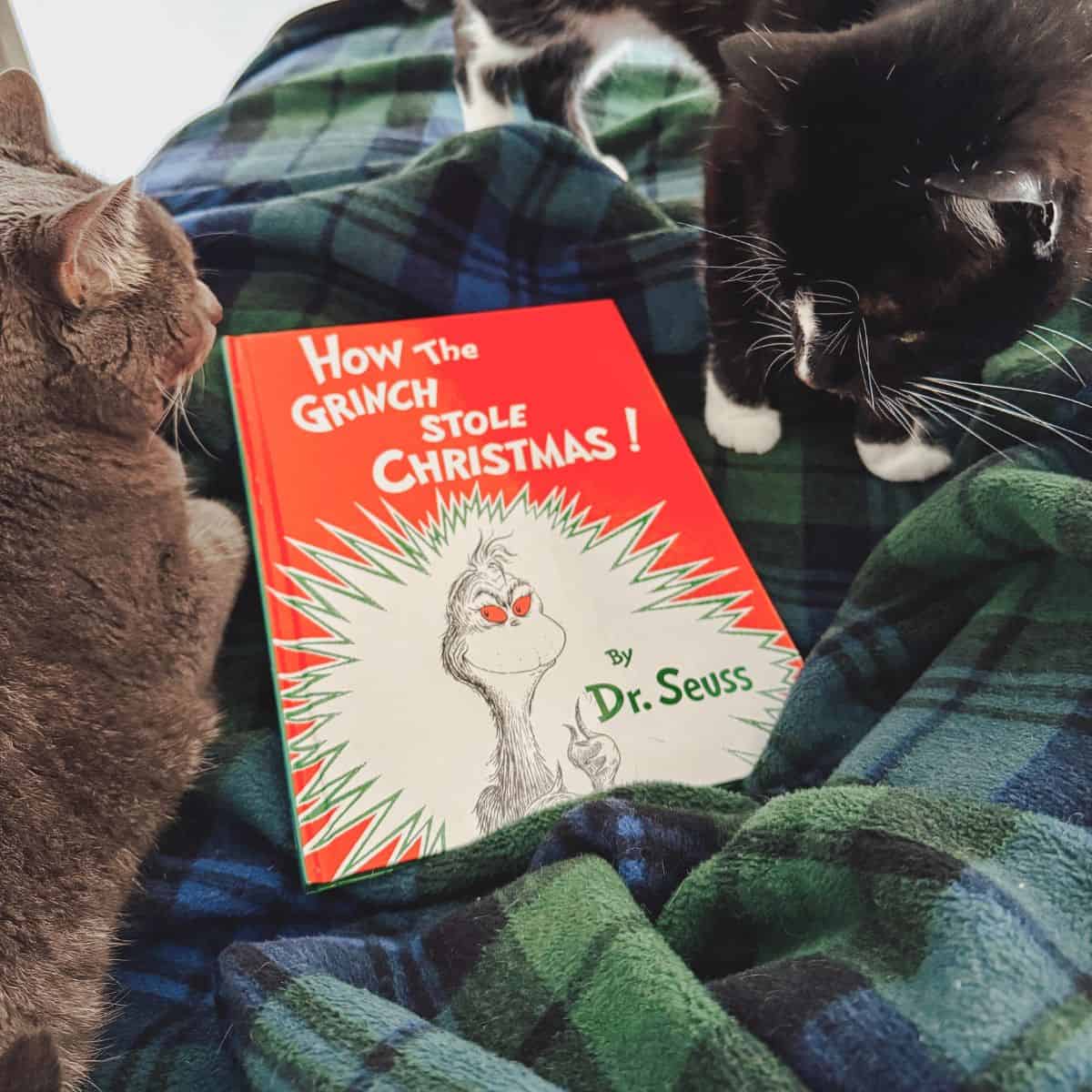 How the Grinch Stole Christmas by Dr Seuss on a blanket with two cats.