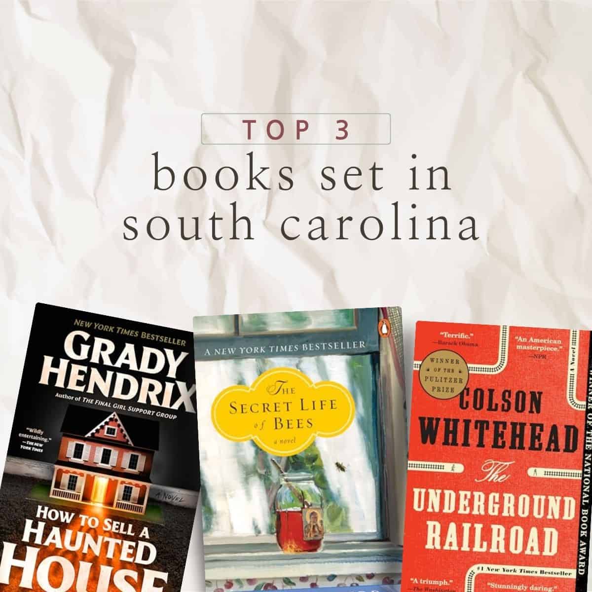 infographic of the best books set in south carolina.